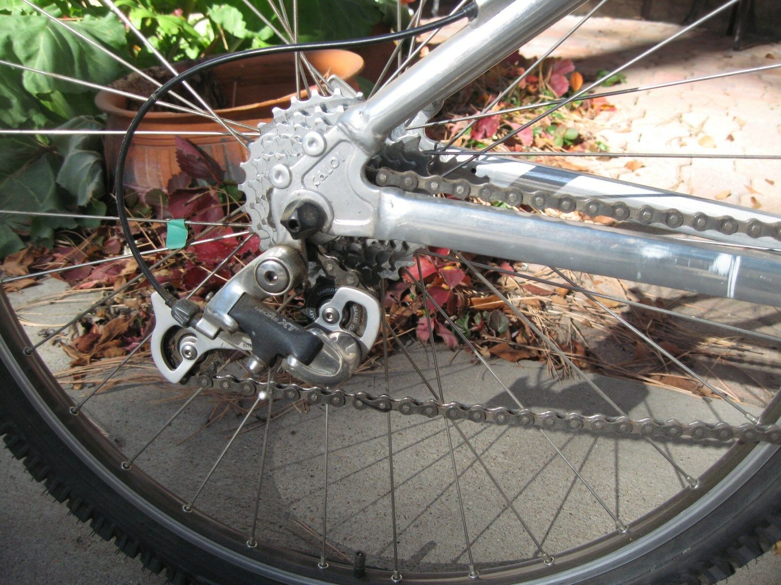 Men's Caloi Team XT X-C series 21 speed bicycle - Fresh Stock Dated December 2025