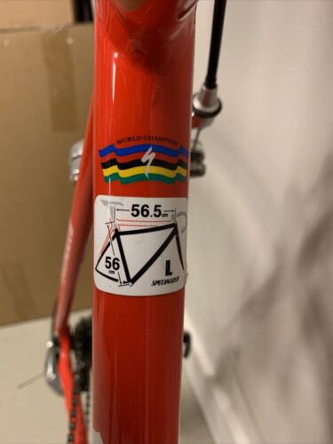 Specialized Allez Elite Road Bike 56cm - Fresh Stock Dated December 2025