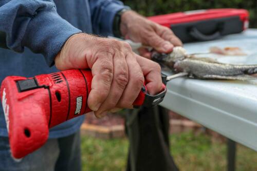 Bubba Lithium Ion Cordless Electric Fillet Knife 4 Blades Li-Ion Fishing 1095705 - Fresh Stock Dated January 2026