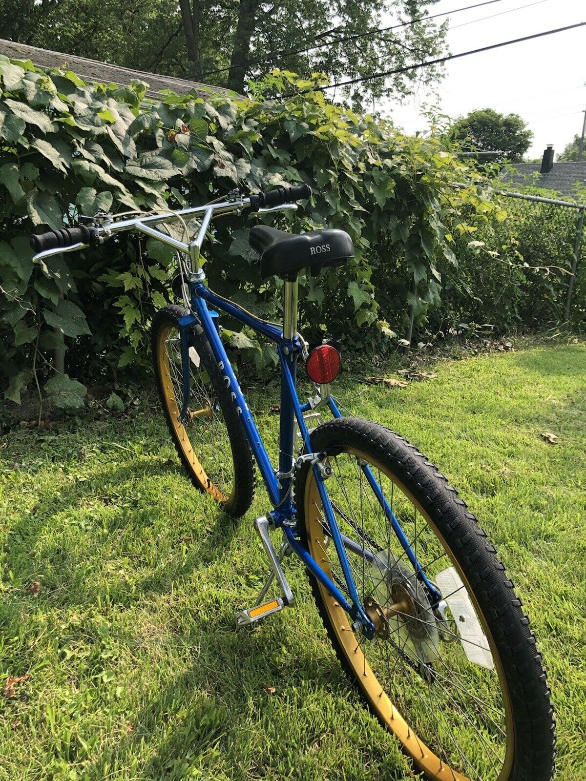 Vintage Ross Mountain Bike, Mt. St. Helens SR hubs, SR Cranks, Ukai Gold Rims - Fresh Stock Dated December 2025