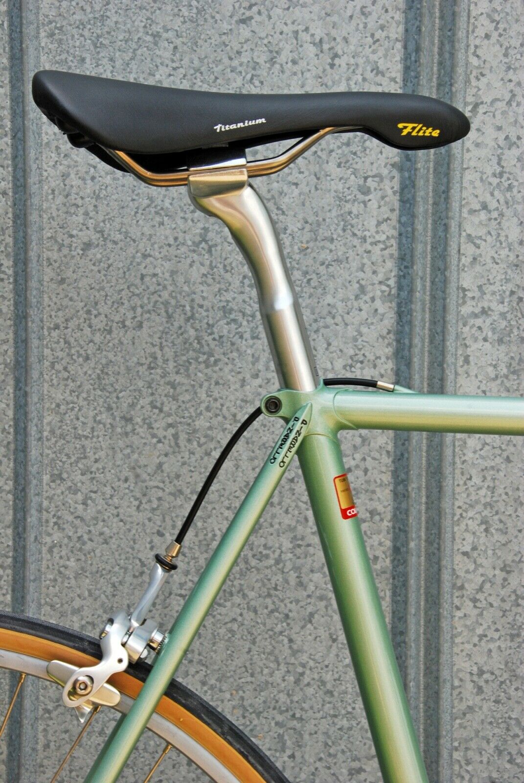 Pinarello Gavia Retro-Modern Campagnolo 11 Speed 57cm - Fresh Stock Dated December 2025