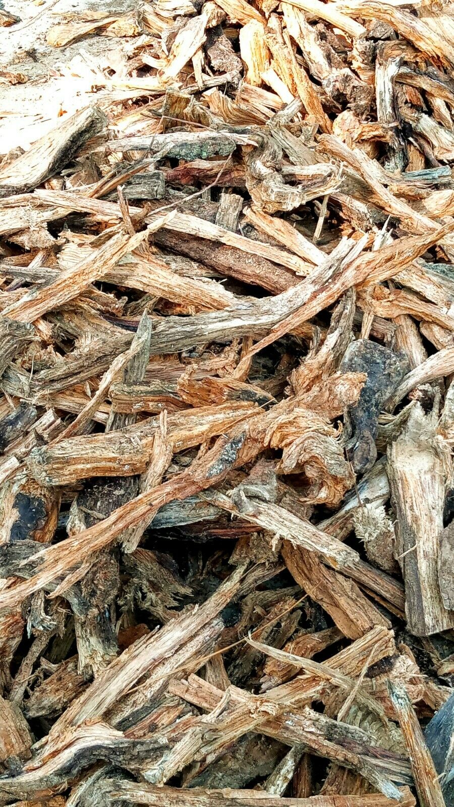 Fat lighter wood Heart Pine Kindling - Fresh Stock Dated January 2026