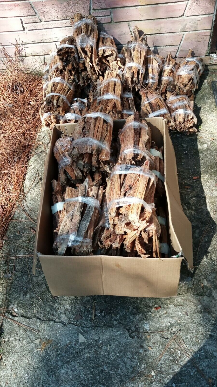 Fat lighter wood Heart Pine Kindling - Fresh Stock Dated January 2026