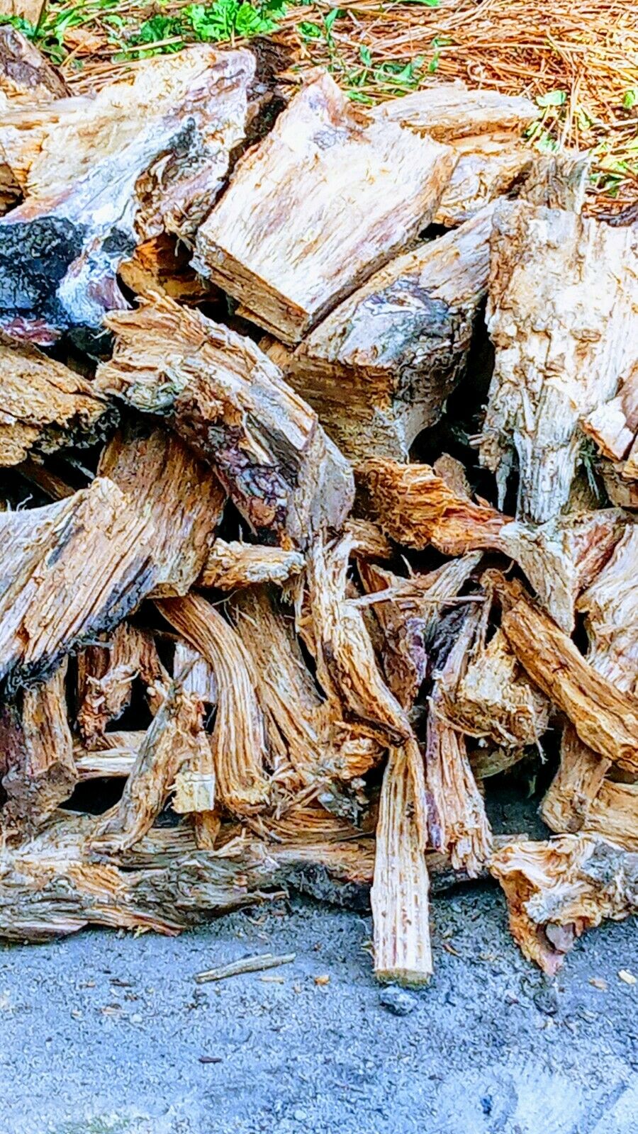 Fat lighter wood Heart Pine Kindling - Fresh Stock Dated January 2026