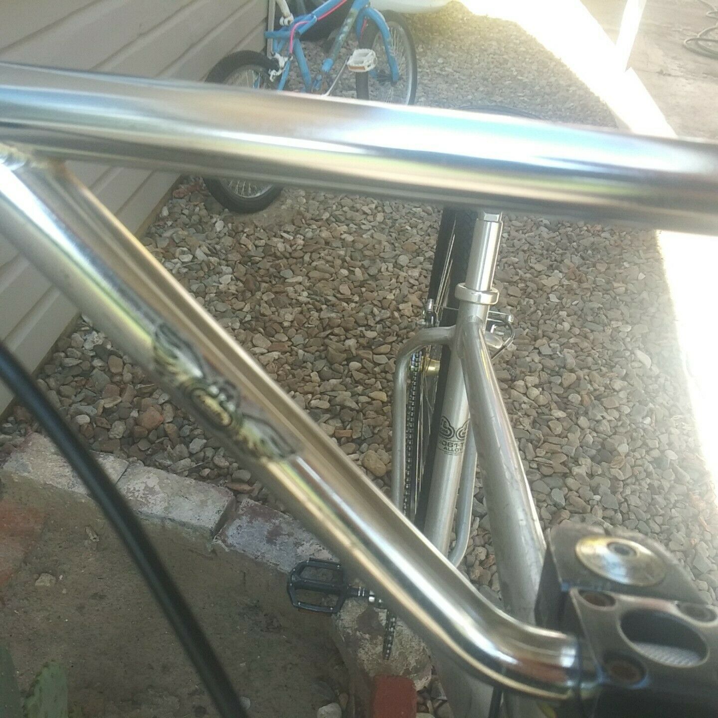 Rare Old School BMX Survivor SE bikes Big Ripper from 2011 - Fresh Stock Dated December 2025