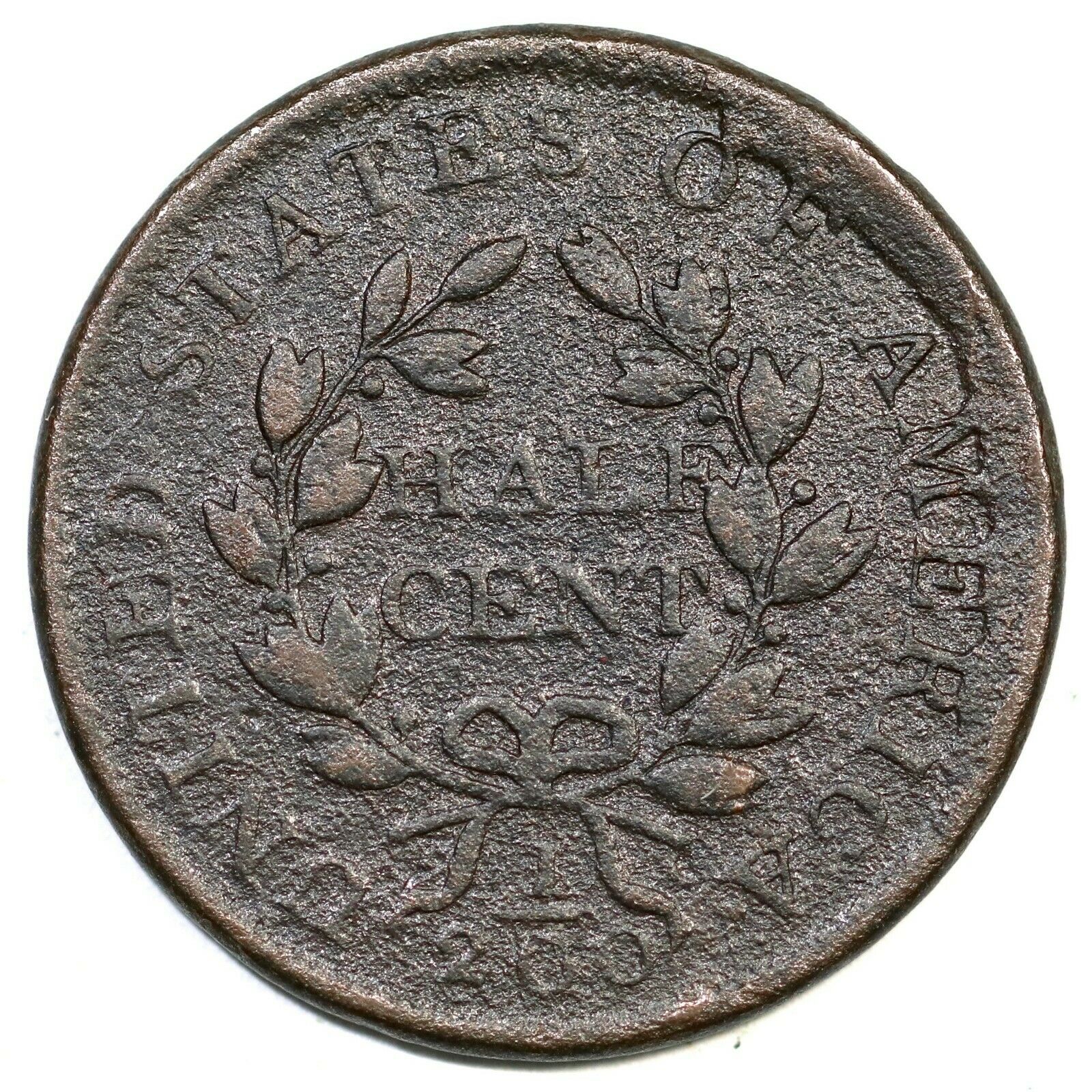 1804 C-7 R-4 Draped Bust Half Cent Coin 1/2c - Fresh Stock Dated December 2025