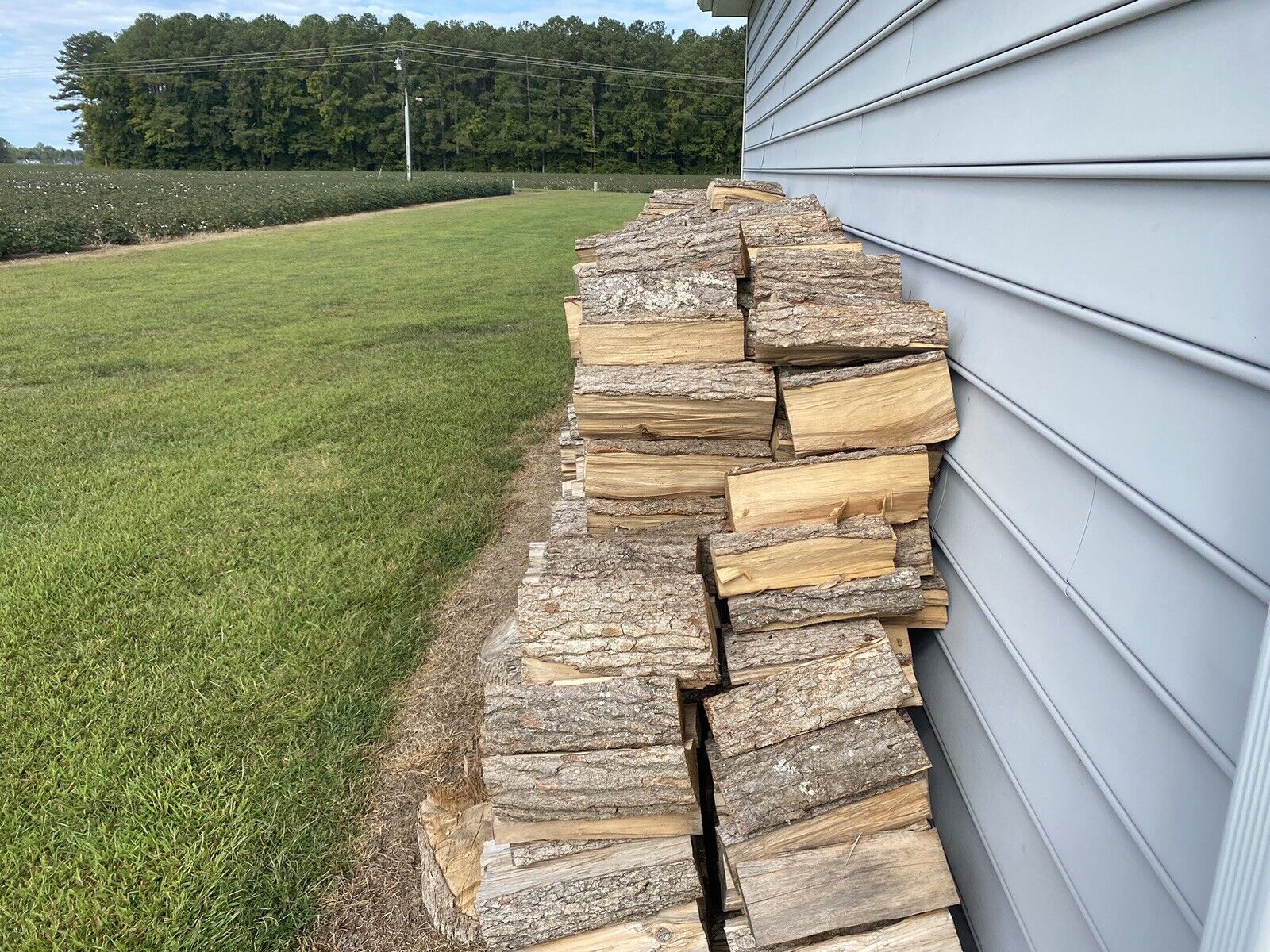 firewood - Fresh Stock Dated January 2026