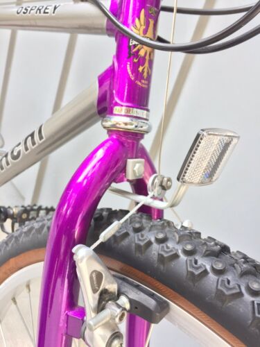 Vintage Bianchi Osprey 21 Speed Mountain/Utility Bike 17.5” Frame *Lightly Used! - Fresh Stock Dated December 2025