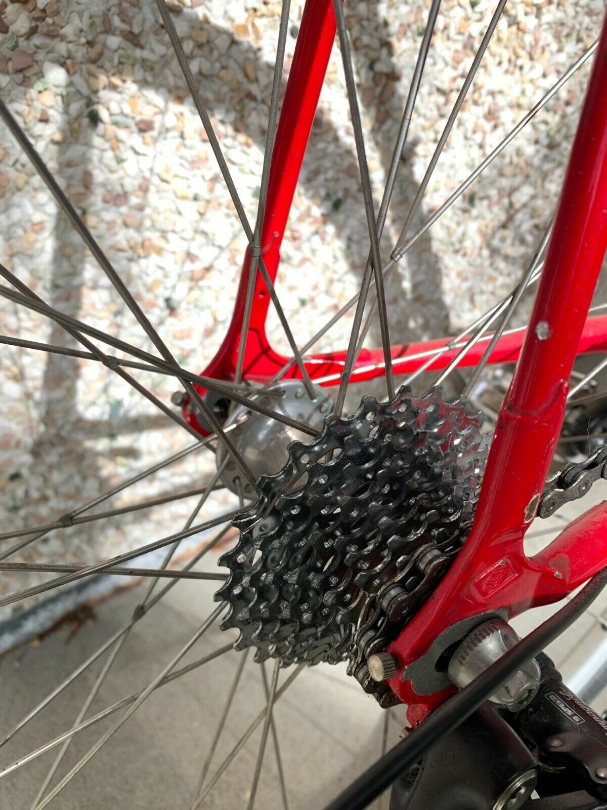 Basso Steel 59cm tt 27 speed Campagnolo Mavic Nitto Triple - Fresh Stock Dated December 2025