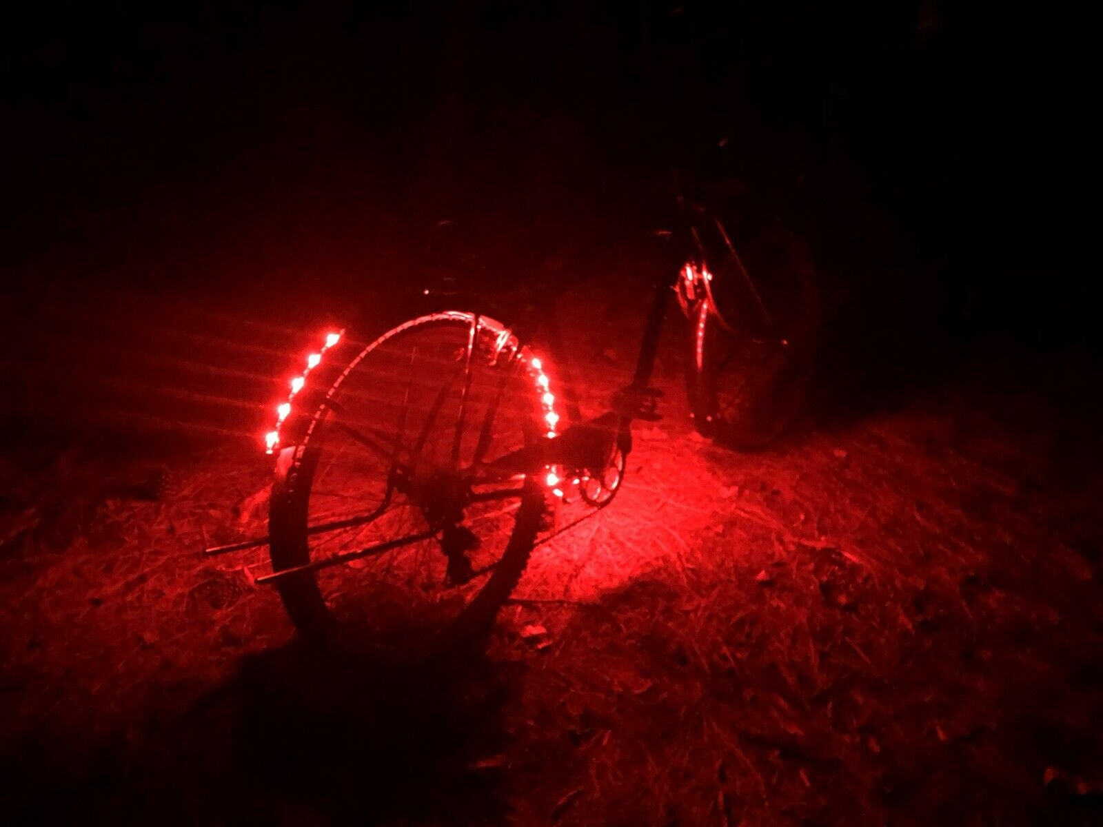 26” Schwinn Clairmont 7 Speed custom lowrider bicycle - Fresh Stock Dated December 2025