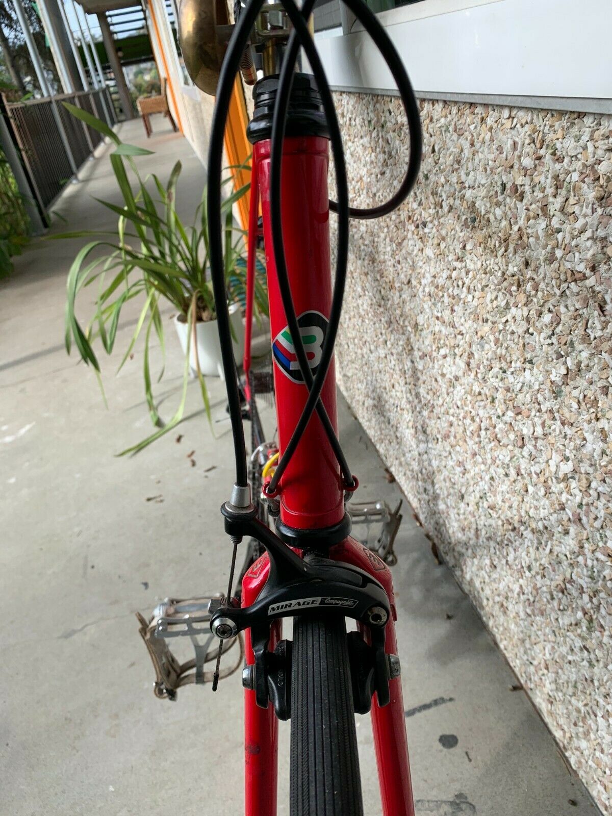 Basso Steel 59cm tt 27 speed Campagnolo Mavic Nitto Triple - Fresh Stock Dated December 2025