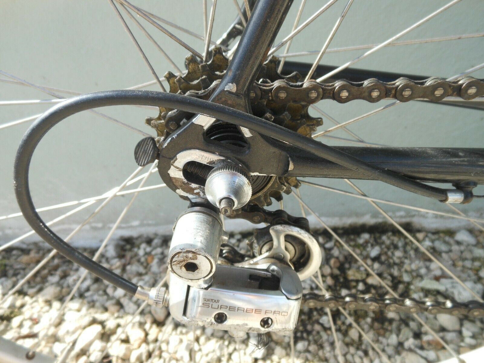 54cm Schwinn Waterford Parmount Bike - Fresh Stock Dated December 2025