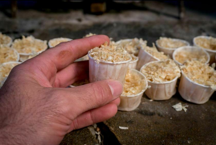 Fire Starter Fireplace BBQ Campfire Fire Pit Stove Firelighter Logs Wood Cubes - Fresh Stock Dated January 2026