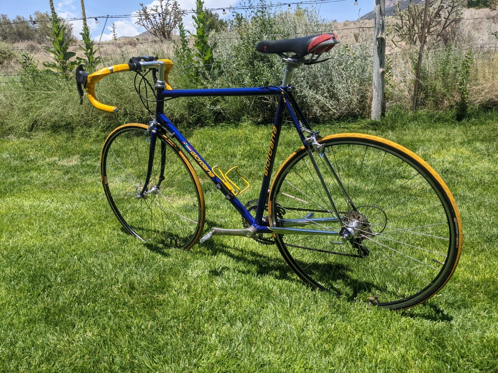 Giordana 58cm Road Bike — Columbus Steel — Full Campagnolo — Excellent Condition - Fresh Stock Dated December 2025