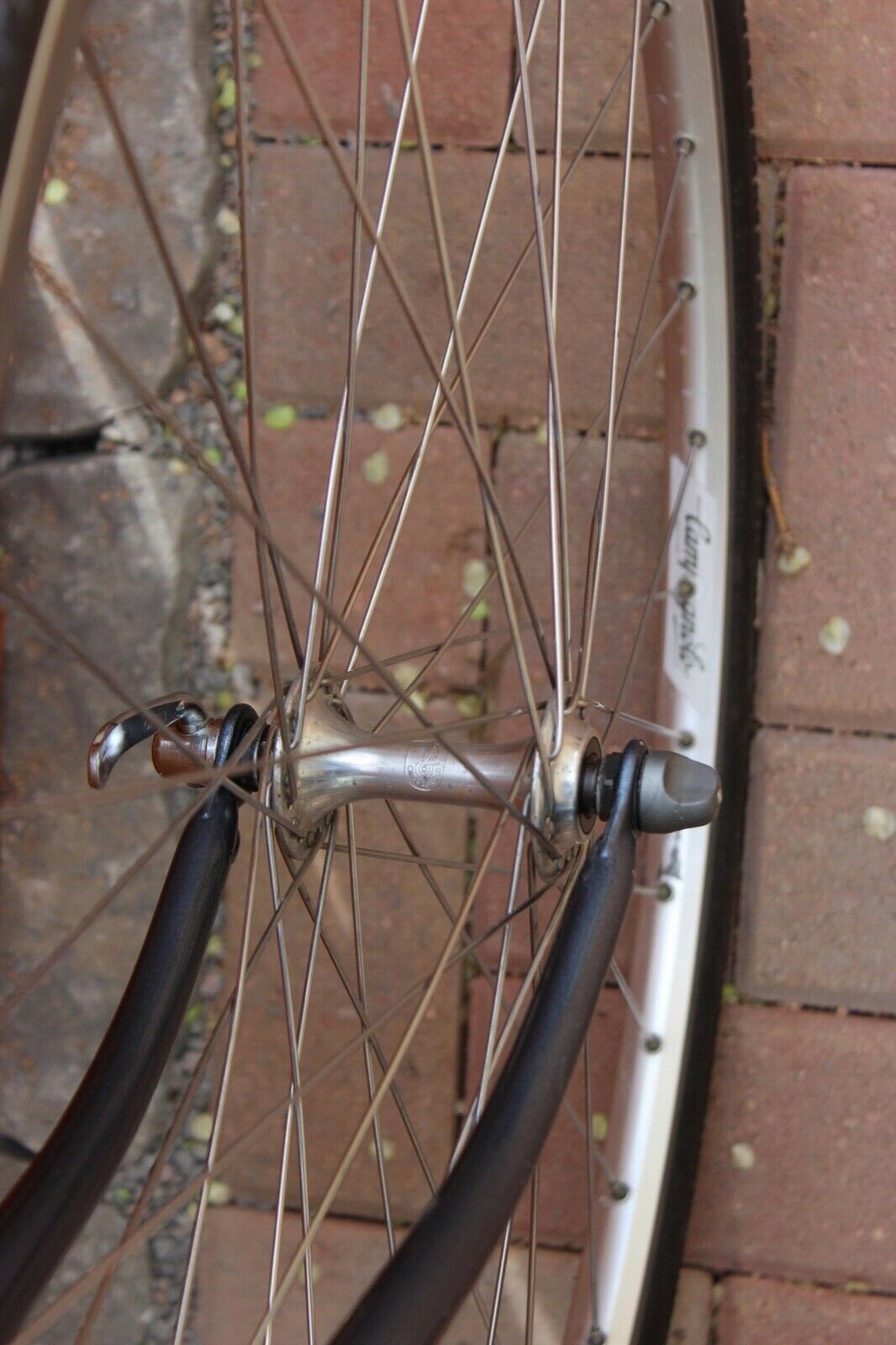 Bianchi San Remo Touring Bike 60cm Full Campagnolo XL Made in Italy Deddaciai - Fresh Stock Dated December 2025