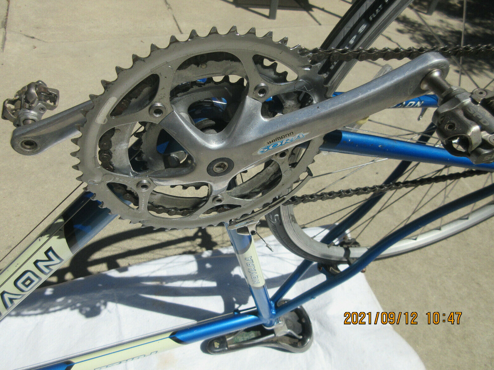 FORZA NOVARA ADULT BIKE 24 SPEED EXCELLENT CONDITION - Fresh Stock Dated December 2025