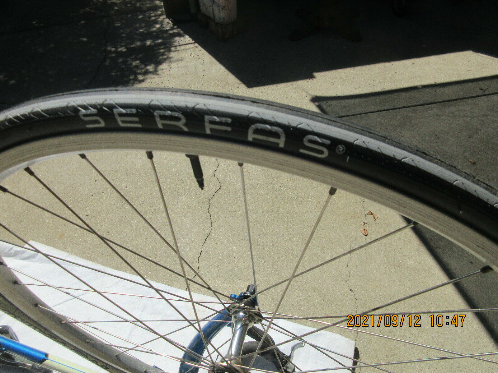 FORZA NOVARA ADULT BIKE 24 SPEED EXCELLENT CONDITION - Fresh Stock Dated December 2025