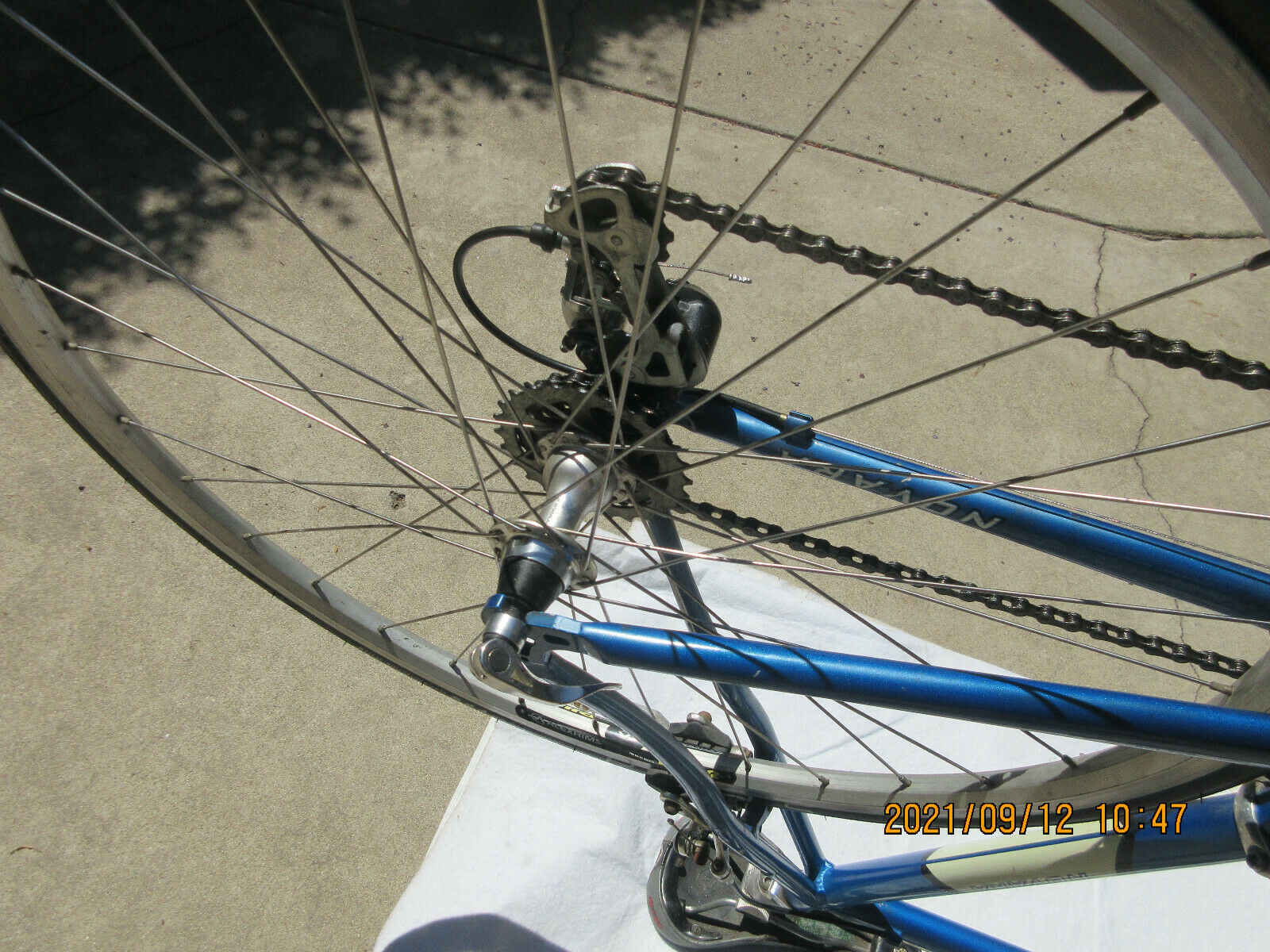 FORZA NOVARA ADULT BIKE 24 SPEED EXCELLENT CONDITION - Fresh Stock Dated December 2025