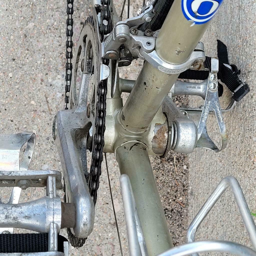 Early model Vintage Benotto 58 cm Road Bike ! - Fresh Stock Dated January 2026