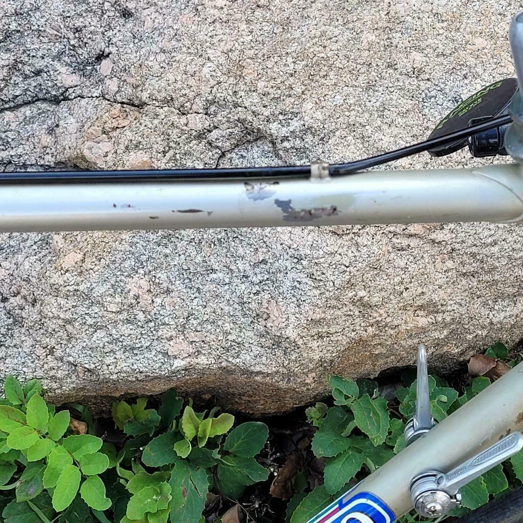 Early model Vintage Benotto 58 cm Road Bike ! - Fresh Stock Dated January 2026