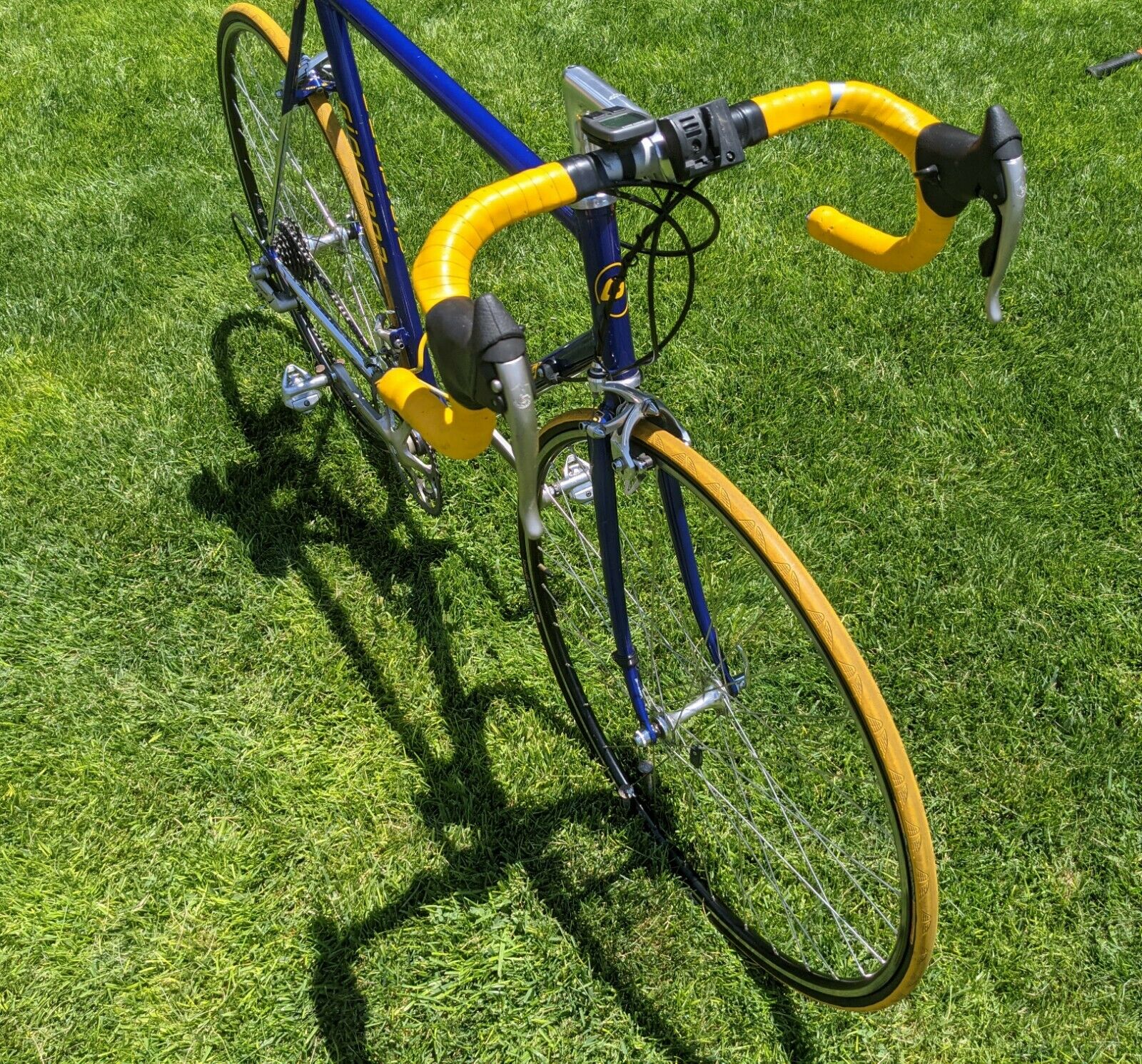 Giordana 58cm Road Bike — Columbus Steel — Full Campagnolo — Excellent Condition - Fresh Stock Dated December 2025