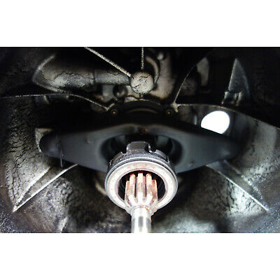 1995-2003 BMW E46 E36 OEM ZF S5D 320Z 5-Speed Manual Transmission Gearbox - Fresh Stock Dated December 2025