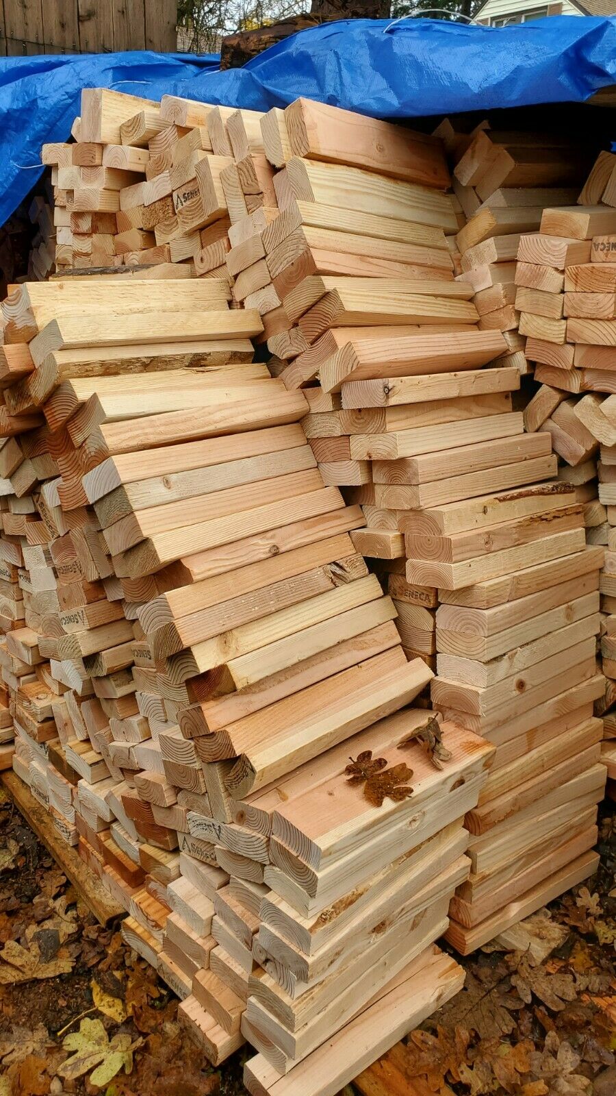 Firewood - Fresh Stock Dated January 2026