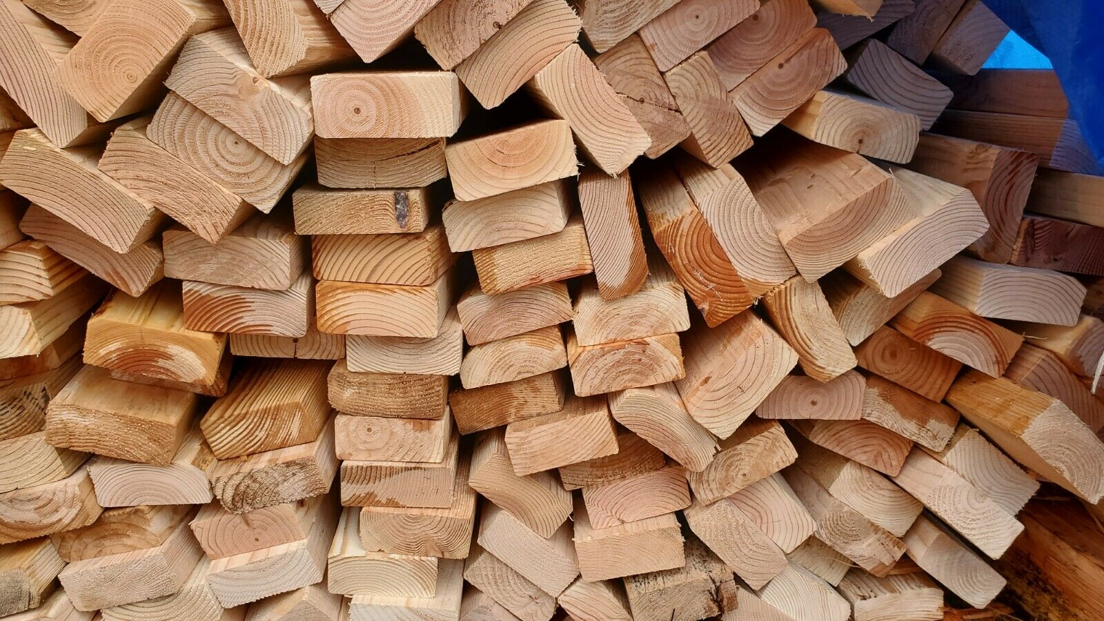 Firewood - Fresh Stock Dated January 2026