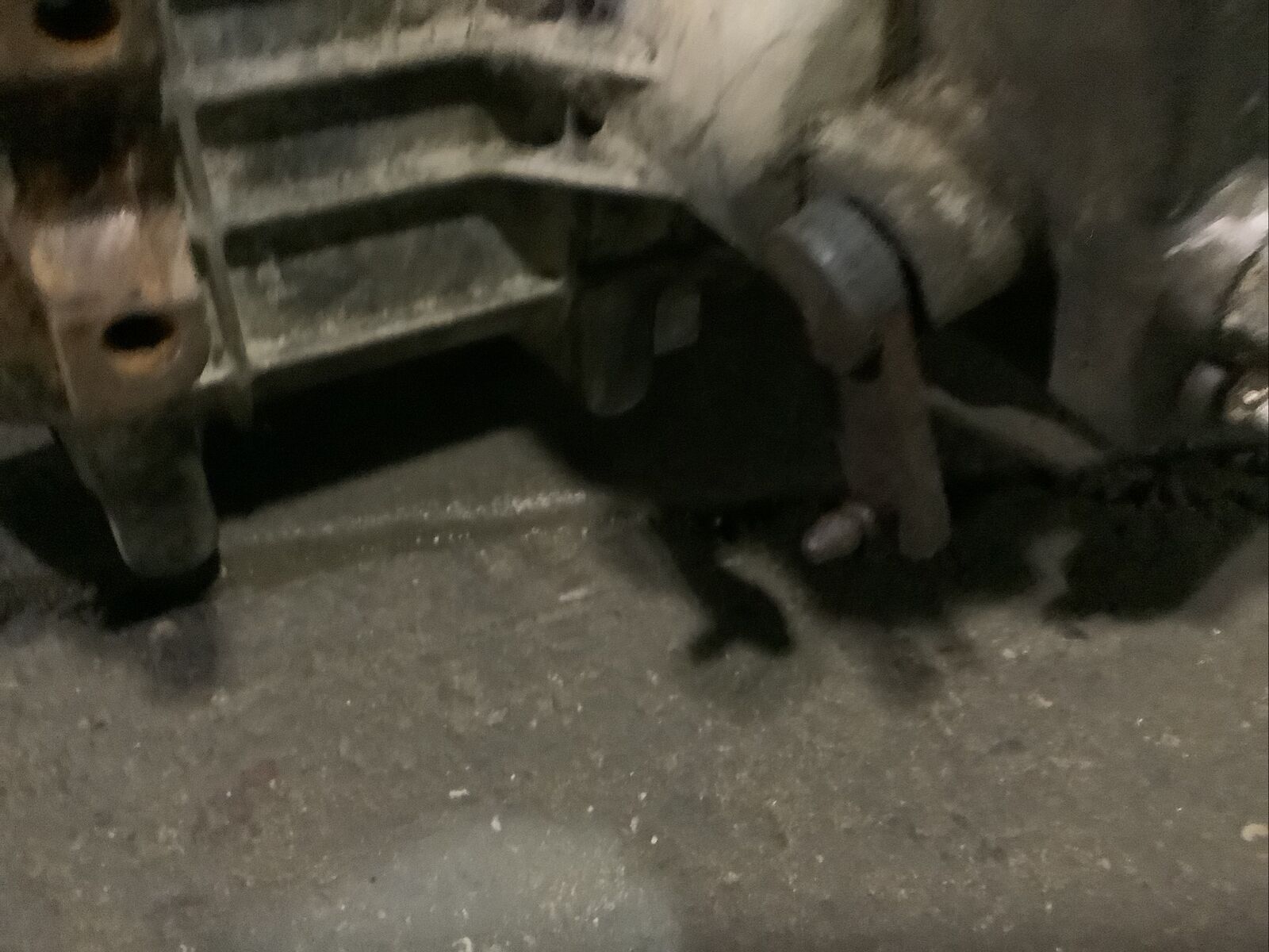 1987-1997 FORD F-SERIES TRUCK BORG WARNER BW1356 COMPLETE MANUAL TRANSMISSION - Fresh Stock Dated January 2026