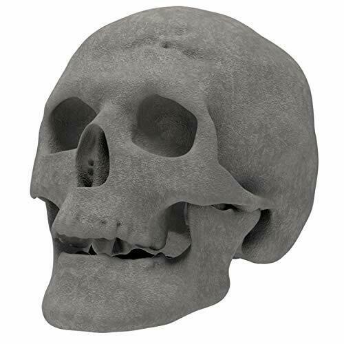Regal Flame Human Skull Ceramic Wood Large Gas Fireplace Logs Logs for All Ty... - Fresh Stock Dated January 2026