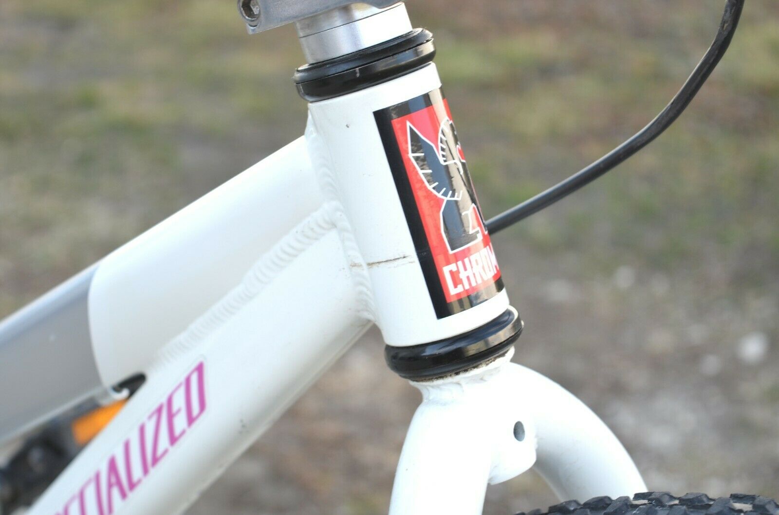 SPECIALIZED Riprock Coaster 16 Kids Bicycle (White / Gray) - Fresh Stock Dated January 2026