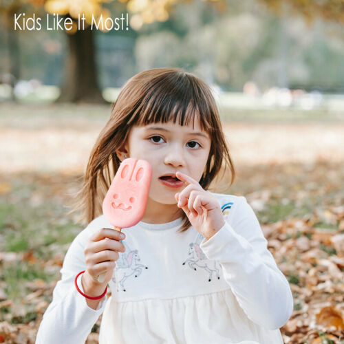 Ice Cream Maker Frozen Lolly Pop Popsicle Mold Silicone Tray With Lid &50 Stick - Fresh Stock Dated February 2026