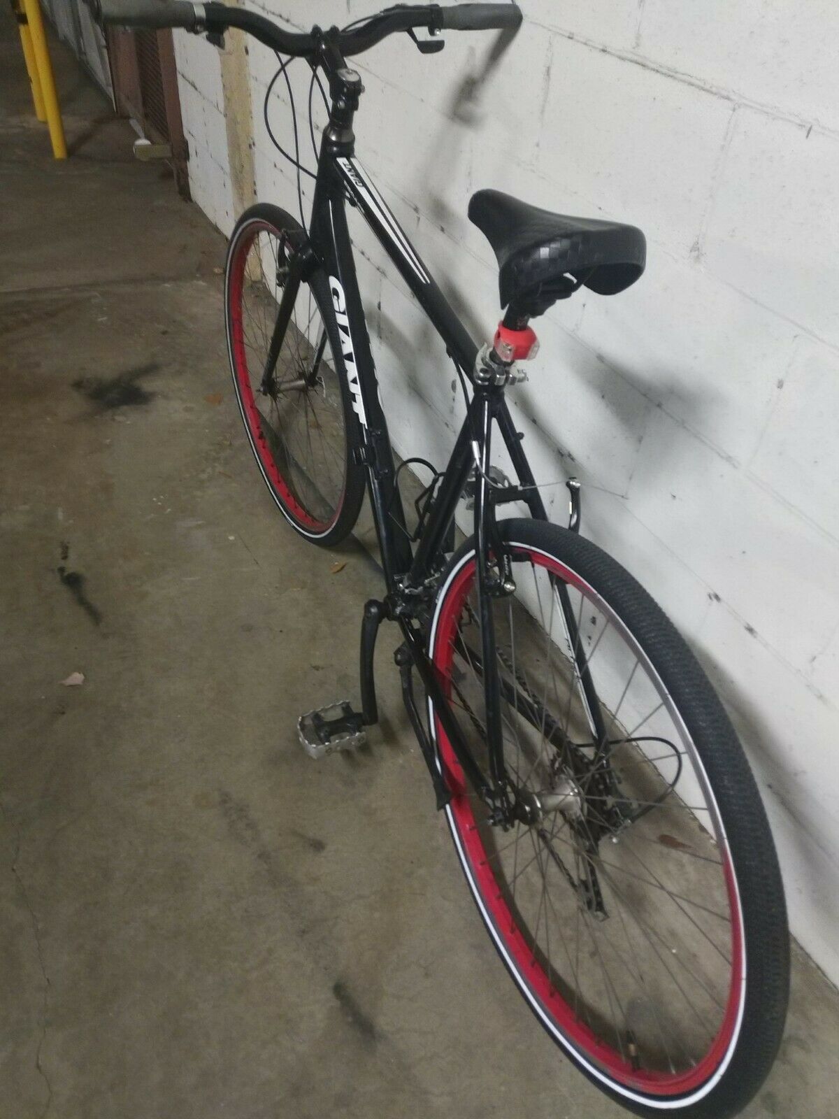 Giant Escape (Local Pick-up Only) - Fresh Stock Dated January 2026