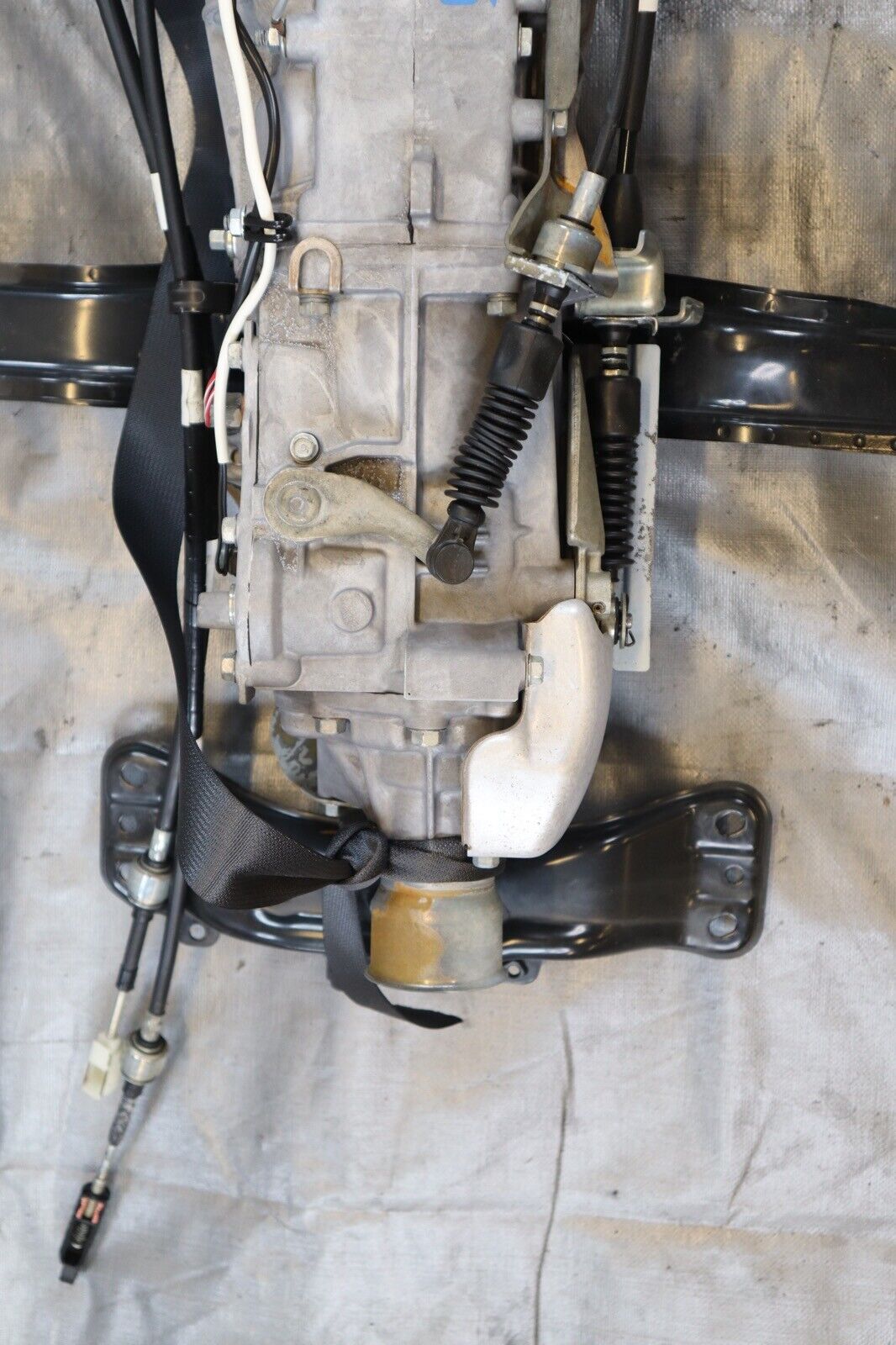 2019 SUBARU WRX PREMIUM SEDAN FA20 OEM 6SPD MANUAL TRANSMISSION TY751VB6CA #2565 - Fresh Stock Dated December 2025