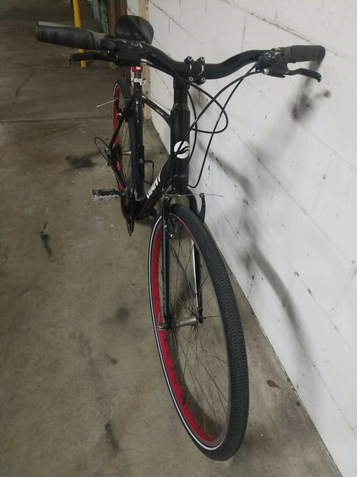 Giant Escape (Local Pick-up Only) - Fresh Stock Dated January 2026