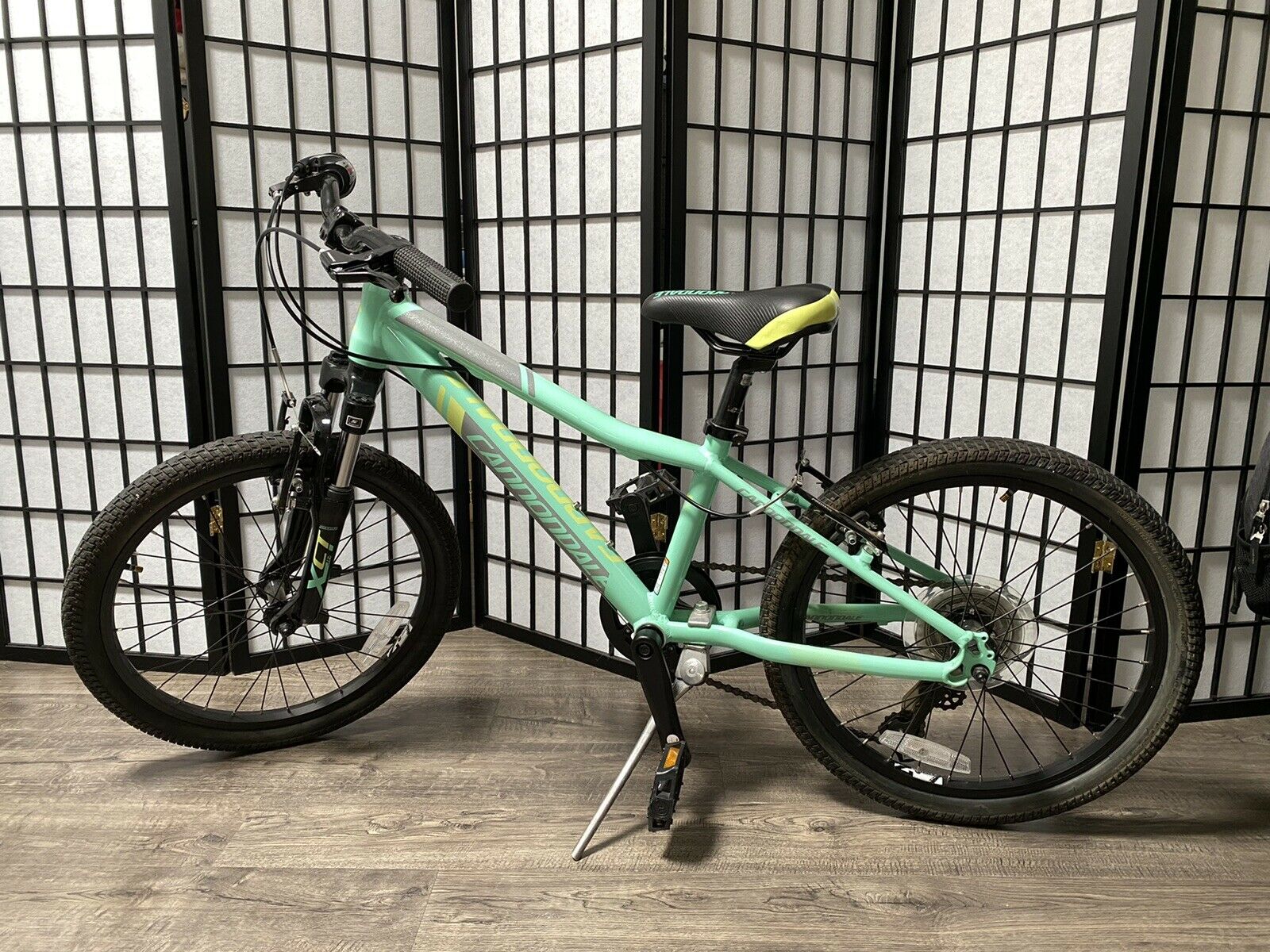 Cannondale Kids Trail 20 6 Speed Girls Bike (excellent condition) - Fresh Stock Dated December 2025