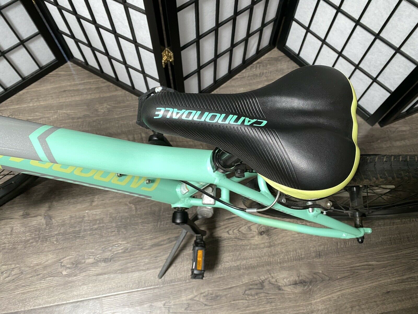 Cannondale Kids Trail 20 6 Speed Girls Bike (excellent condition) - Fresh Stock Dated December 2025