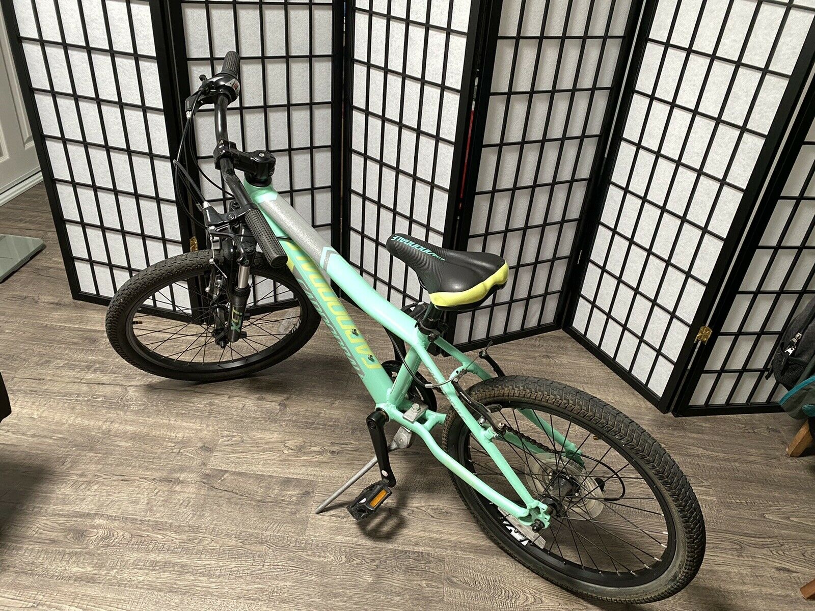 Cannondale Kids Trail 20 6 Speed Girls Bike (excellent condition) - Fresh Stock Dated December 2025