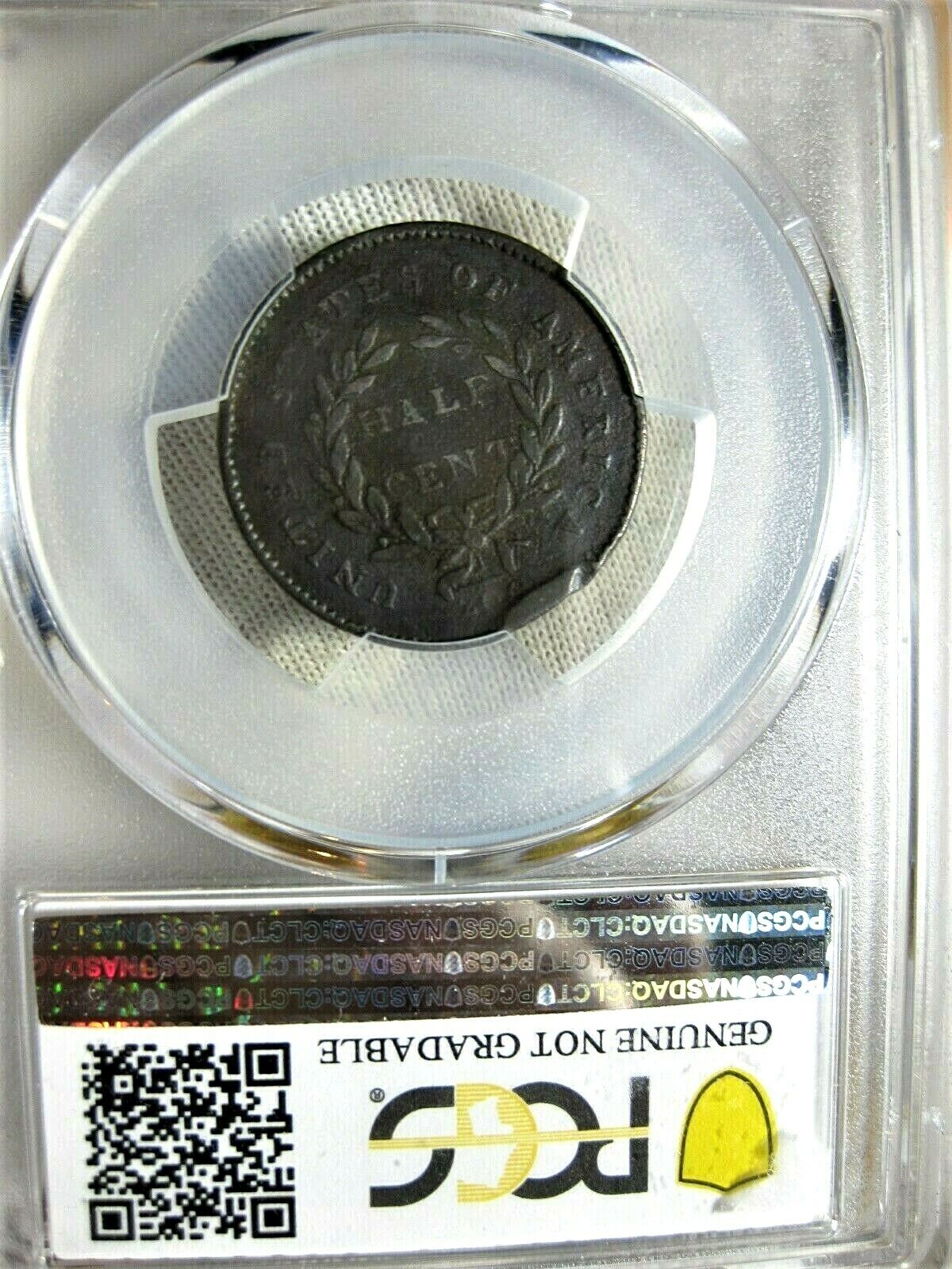 1794 Half Cent PCGS Graded VF Detail Genuine Edge Damage - Fresh Stock Dated December 2025