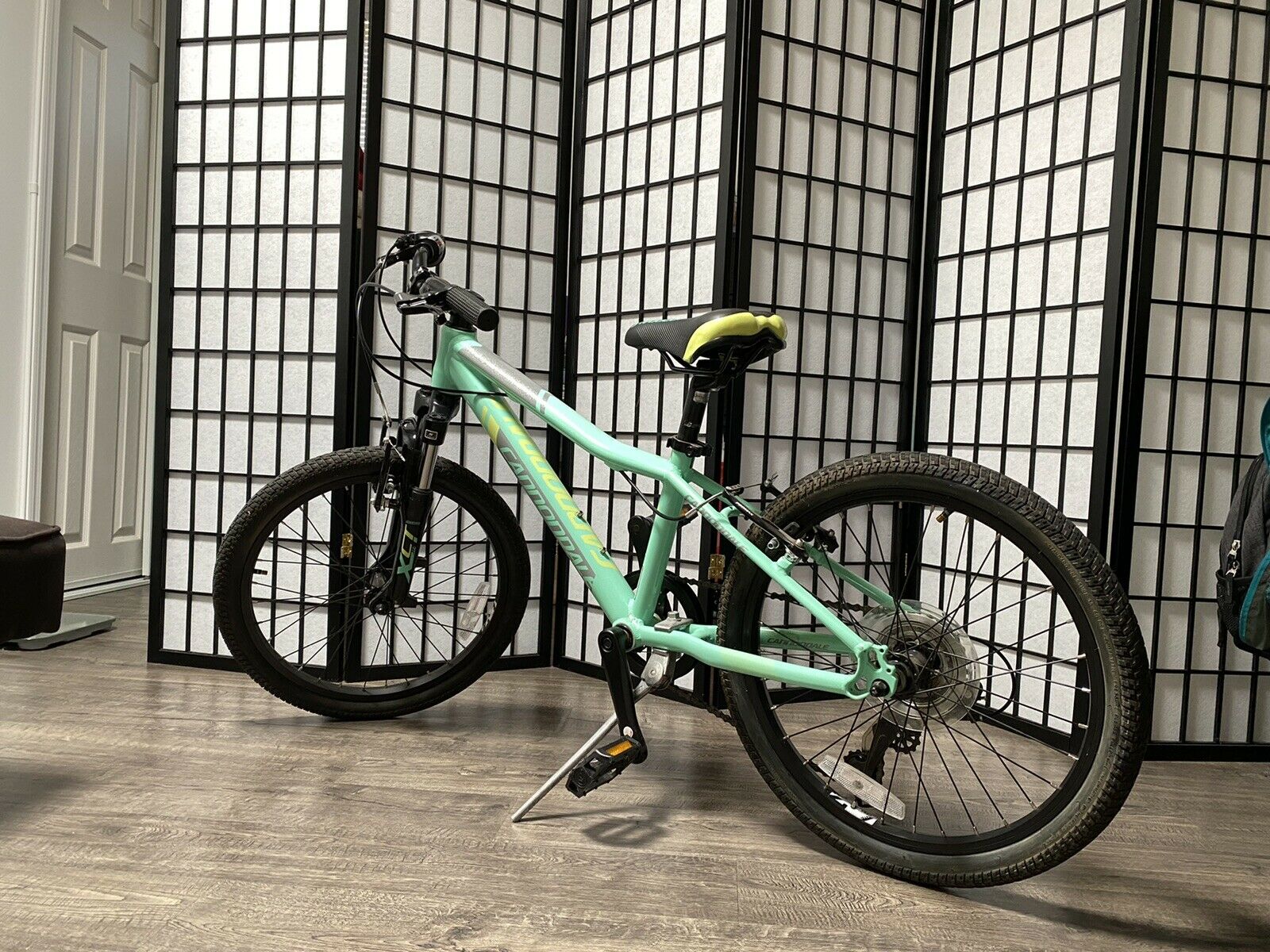 Cannondale Kids Trail 20 6 Speed Girls Bike (excellent condition) - Fresh Stock Dated December 2025