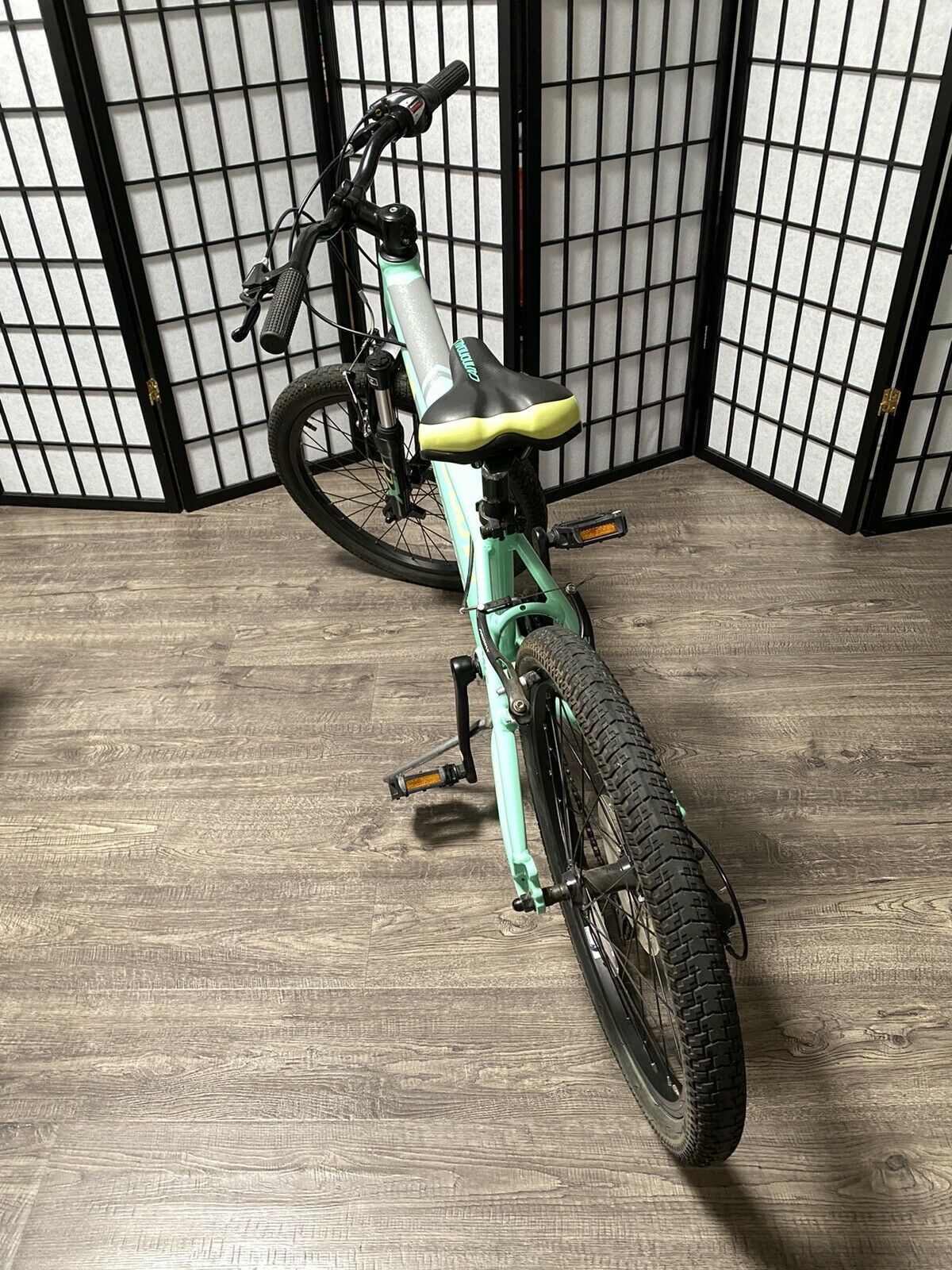 Cannondale Kids Trail 20 6 Speed Girls Bike (excellent condition) - Fresh Stock Dated December 2025