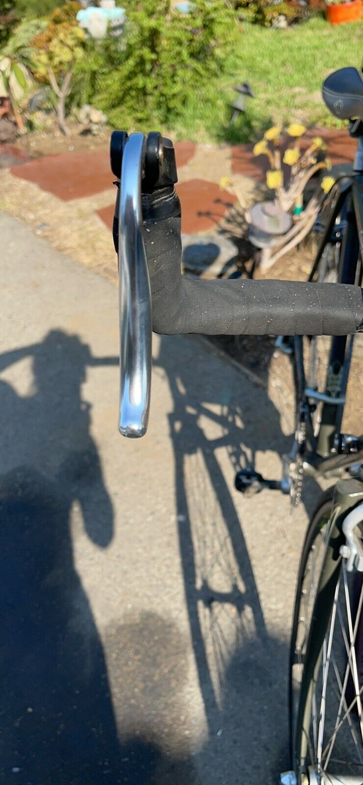 Schwinn Bike Wheel Men - Fresh Stock Dated January 2026