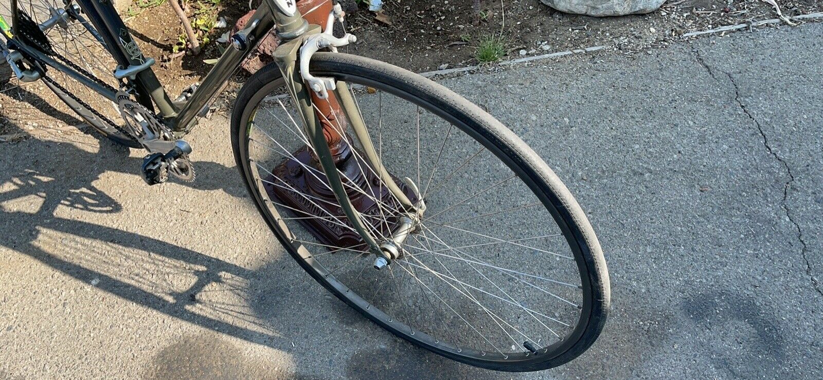 Schwinn Bike Wheel Men - Fresh Stock Dated January 2026