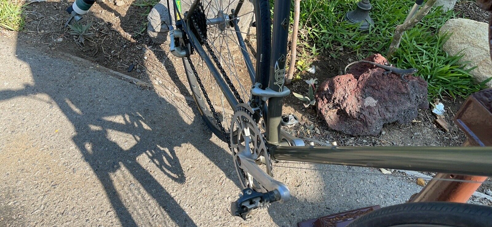 Schwinn Bike Wheel Men - Fresh Stock Dated January 2026