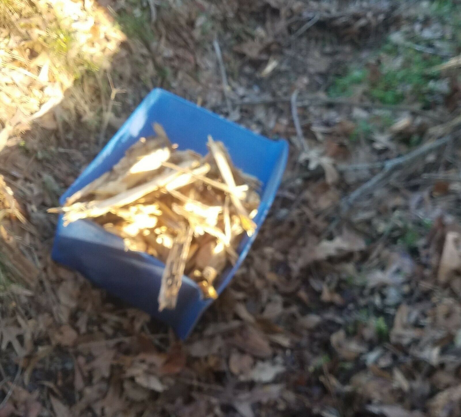 Pine Lighter Fat Lighter Fatwood Lighter Wood Kindling Fire High Resin - Fresh Stock Dated January 2026