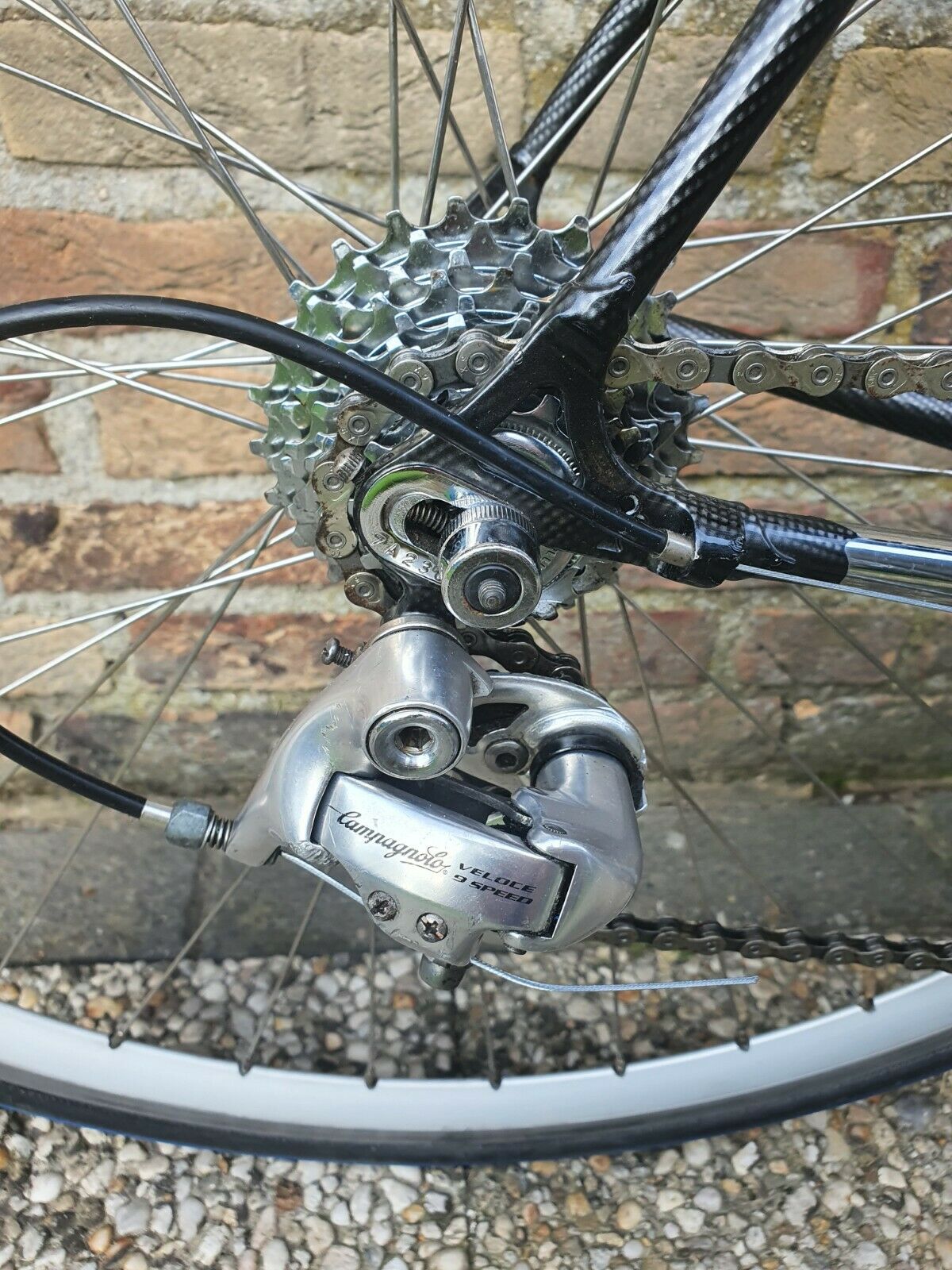 Colnago Master, Campagnolo Chorus, Columbus Gilco Profilo Steel Tubing. - Fresh Stock Dated December 2025