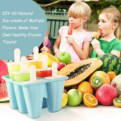 Molde De Silicona Para Helados Hacer Con 50 Palitos Maquina 6 Orificios Bandeja - Fresh Stock Dated February 2026