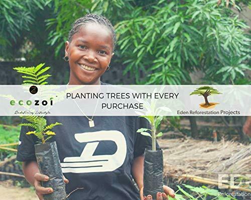 ecozoi Stainless Steel Popsicle Molds and Rack - 6 Ice Pop Makers + 6 Reusable - Fresh Stock Dated February 2026