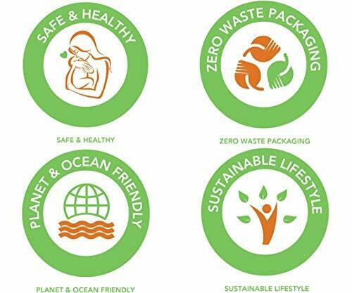 ecozoi Stainless Steel Popsicle Molds and Rack - 6 Ice Pop Makers + 6 Reusable - Fresh Stock Dated February 2026