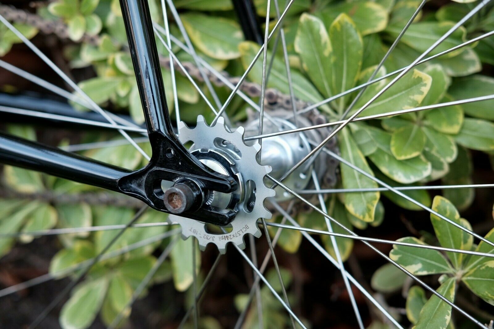 Wabi Classic Lightweight Chromoly Single Speed Fixed Gear bicycle, 52cm, used - Fresh Stock Dated December 2025